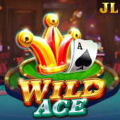 Wild Ace gl29 slot